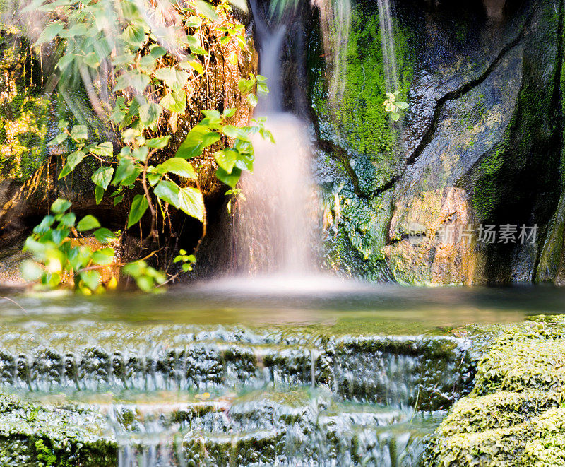 热带雨林中流动的小溪