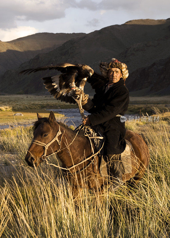 蒙古人与训练有素的鹰