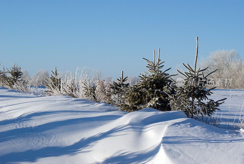 自然雪栅栏