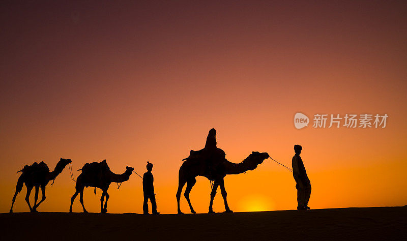 沙漠里的骆驼狩猎剪影