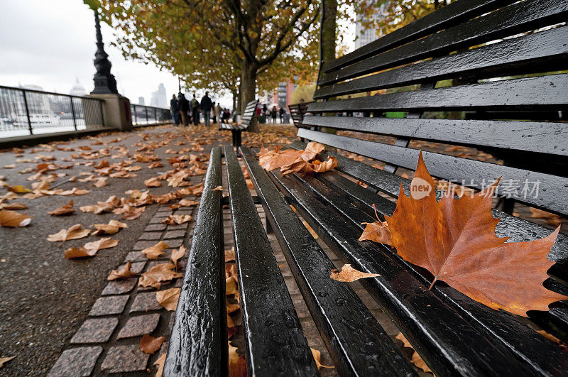 秋天的树叶在长凳上