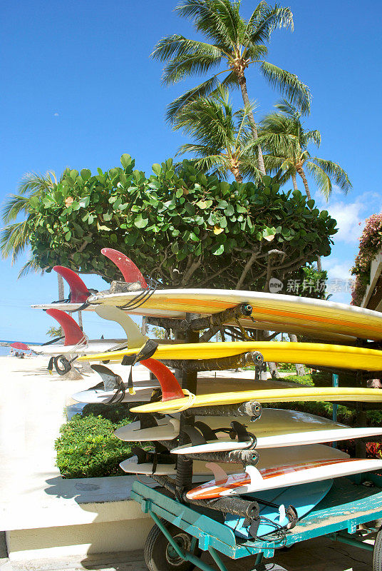 夏威夷群岛威基基海滩上的冲浪板。