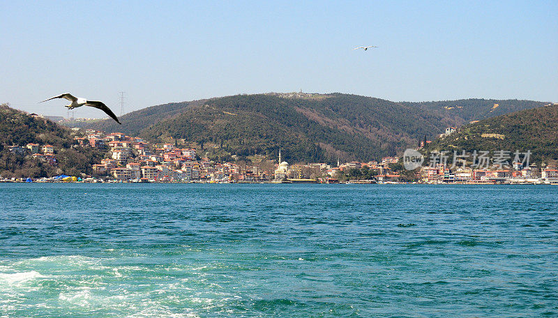 伊斯坦布尔-穿越博斯普鲁斯海峡