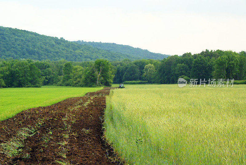 有机农业-绿肥