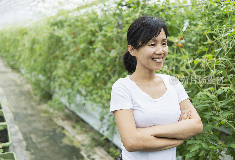 在温室中中年人农民的肖像