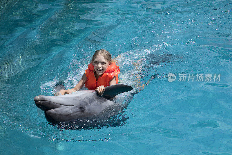 穿着救生衣的女孩和海豚在清澈的水中