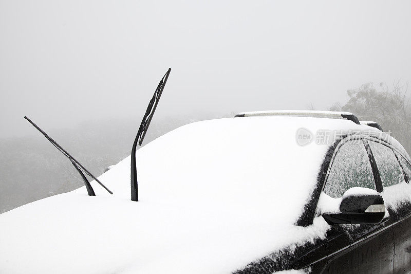汽车有雪