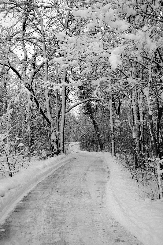 雪道路