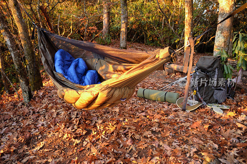 日出时在树林里吊床露营