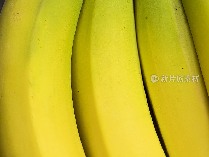 香蕉束特写黄色和浅绿色
