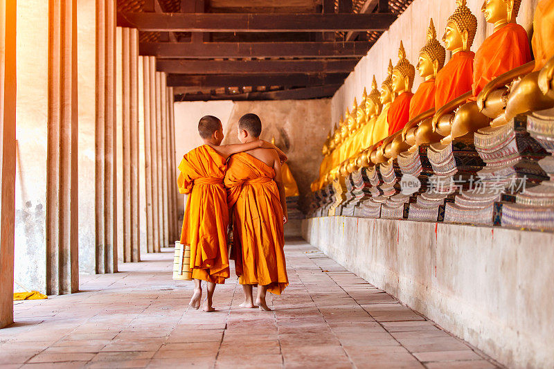 在泰国大城府的古庙里，两个初学走路和说话的人