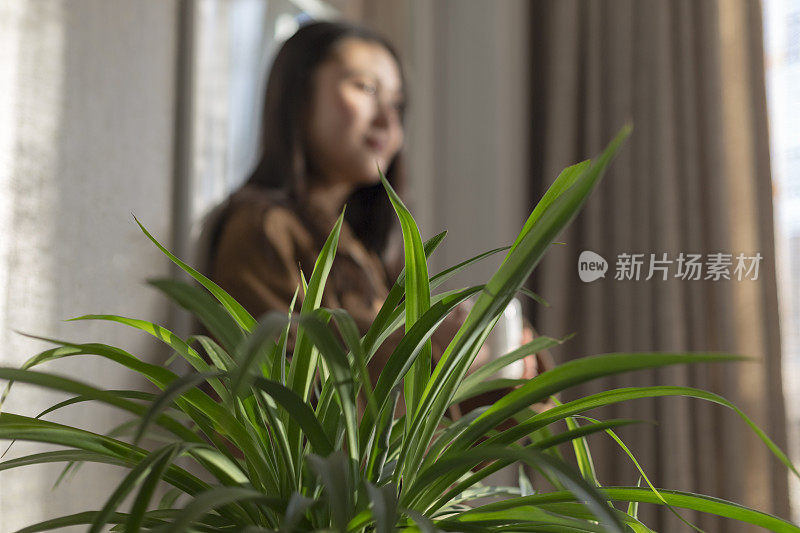 女人在家里打发闲暇时间