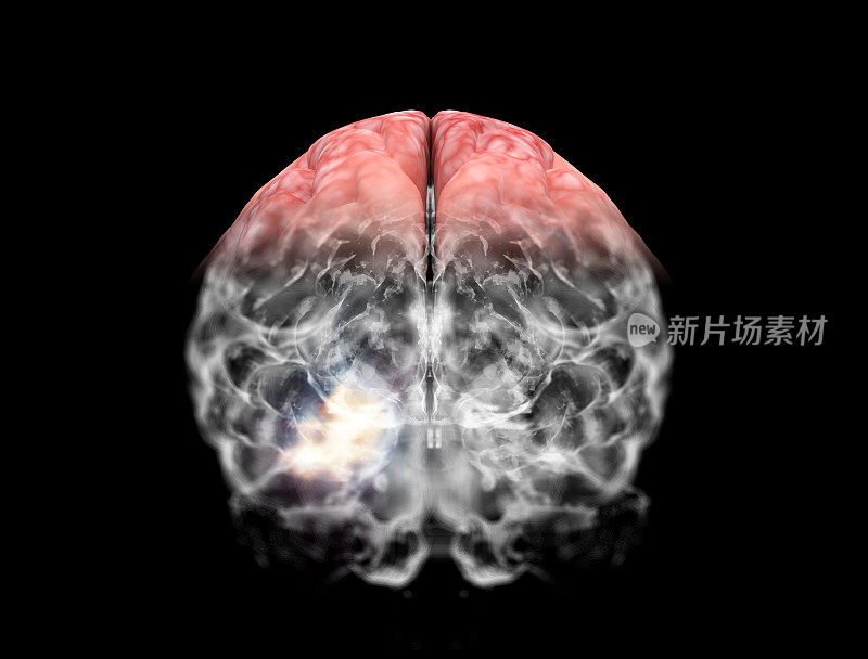 神经元系统的大脑3D黑色