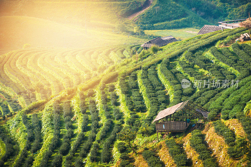 泰国北部的山景，日出和薄雾