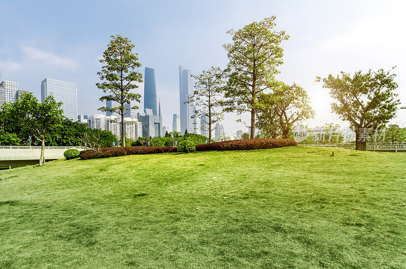 中国广州的公园绿色花园和现代城市建筑