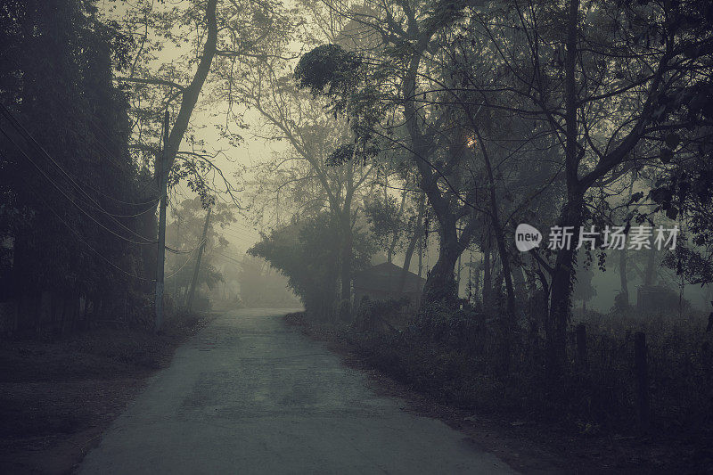 奇旺村清晨的薄雾