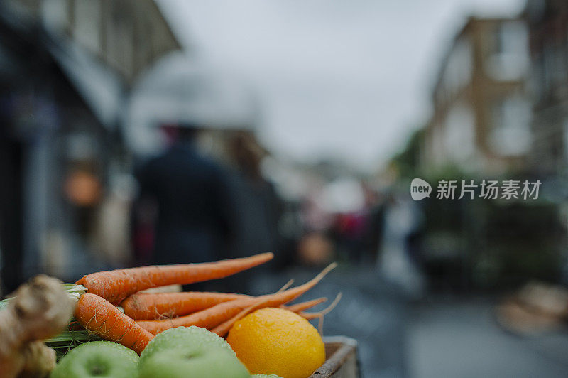 豆科植物