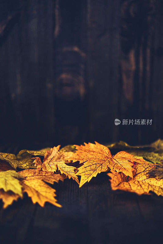 秋天的背景与枫叶和木材