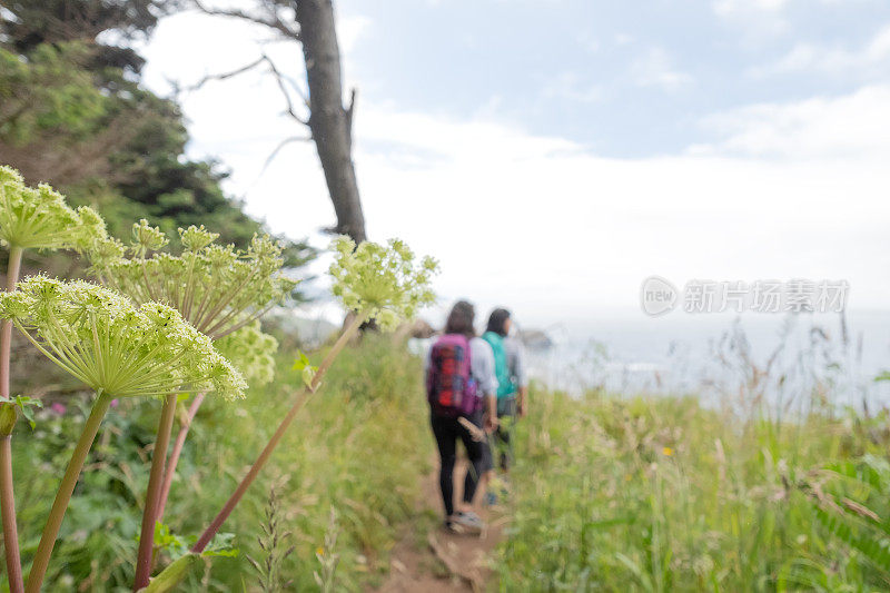 年轻女性徒步沿着海岸悬崖小径，俄勒冈海岸