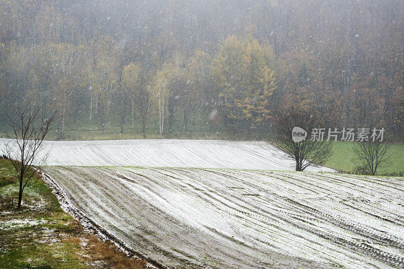 北海道的一个下雪天