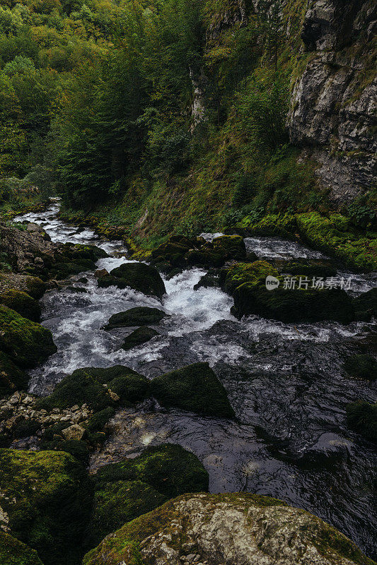 黑山的小森林瀑布，Durmitor