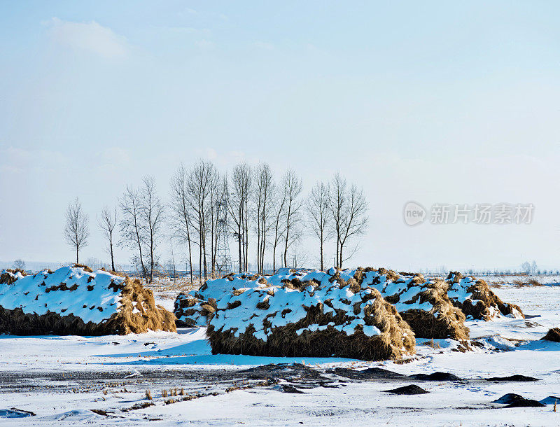 草地上的草堆被雪覆盖着