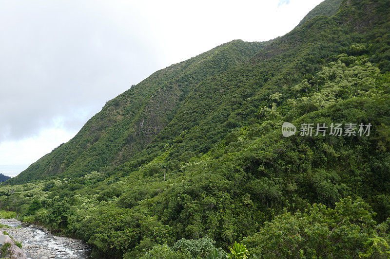 艾奥谷州立公园，毛伊岛，夏威夷，美国