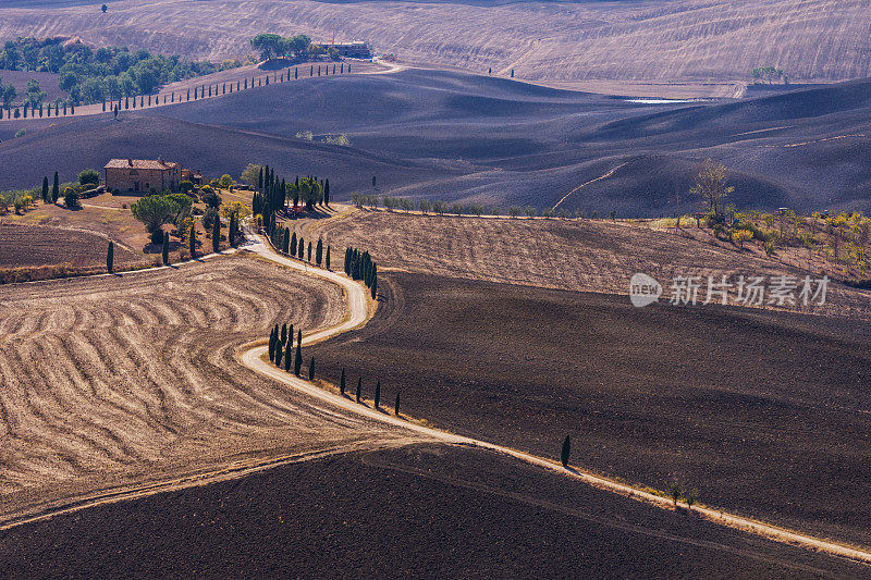 托斯卡纳的风景:标志性的皮恩扎乡村