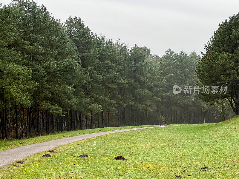 在冬天的雨天，在森林和草地旁边的一条小路。