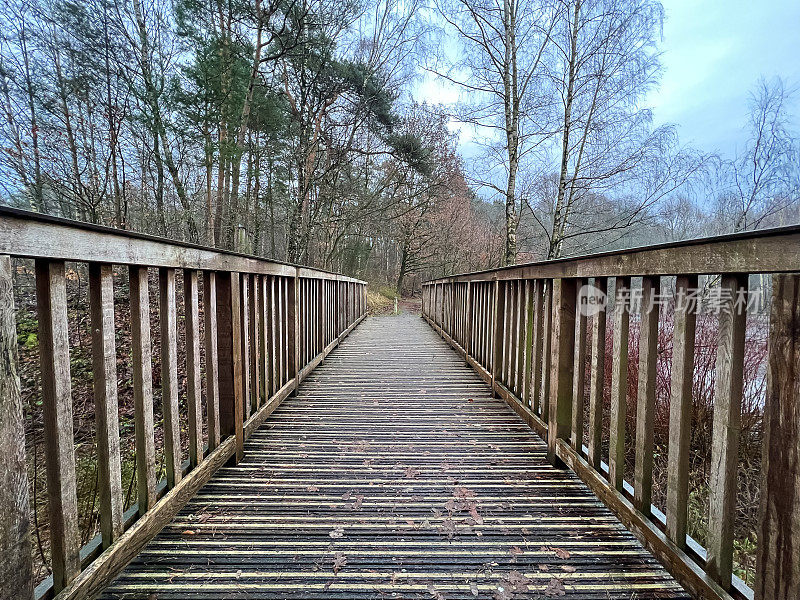 冬天森林里一座湖上的桥。