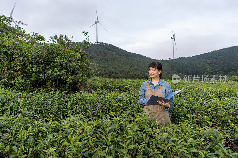 一位亚洲女性农业技术人员在植物实验田工作