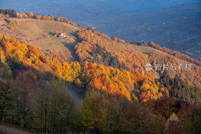 秋天的风景