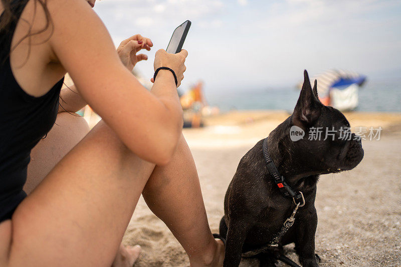 在海滩上，法国斗牛犬坐在年轻女子旁边