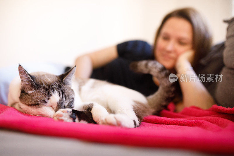 一个女人在沙发上看着她的猫睡觉