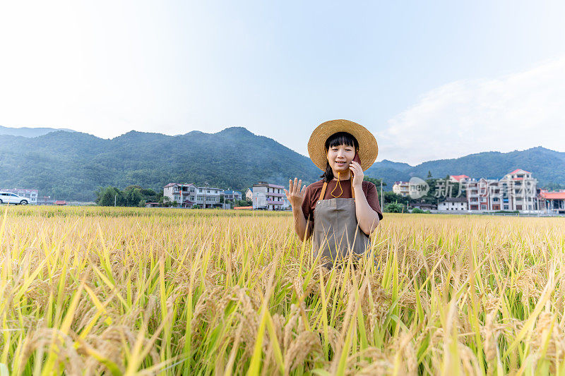 一位亚洲妇女在稻田里使用手机