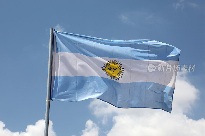挥舞阿根廷国旗