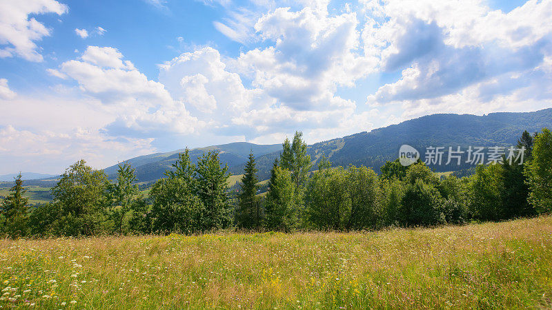 喀尔巴阡山脉的乡村，山林茂密