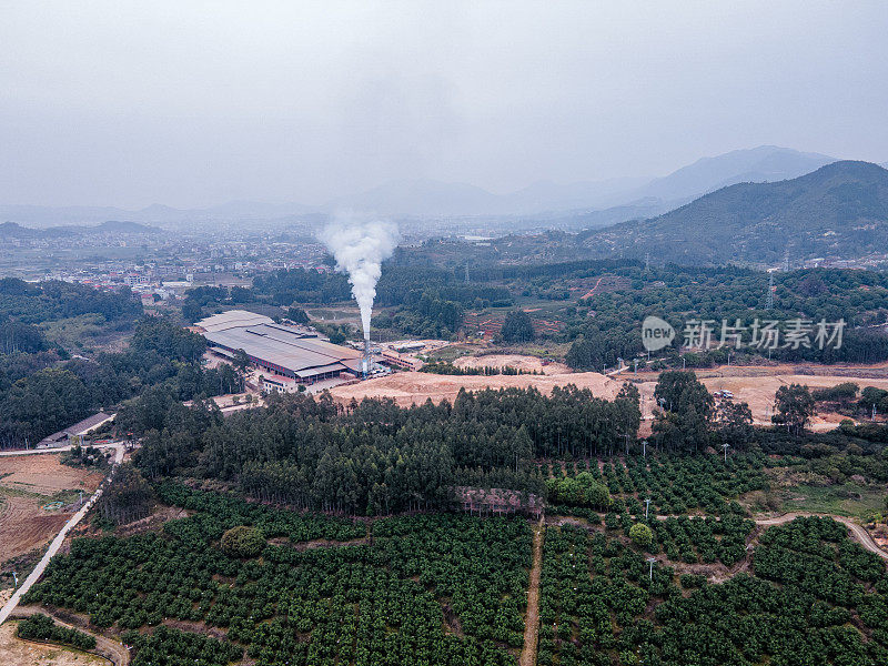 农村农业种植园的茶叶和林地鸟瞰图