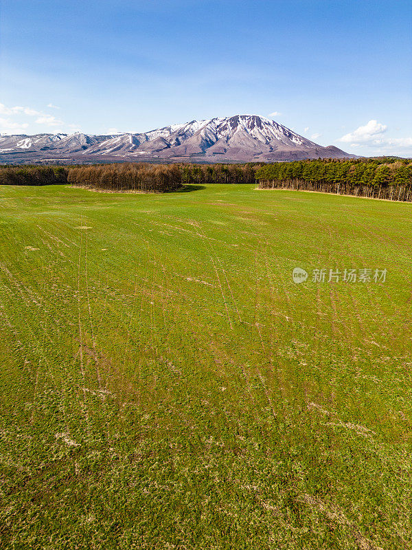 高角度的视野，广阔的草地与山的背景