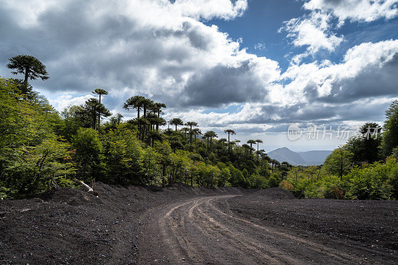 在山林间驾车下山的道路