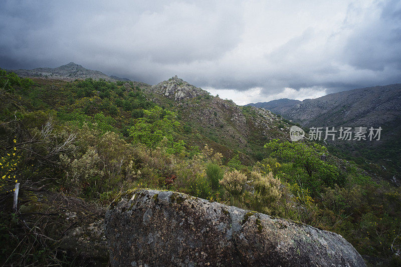 米尼奥景观