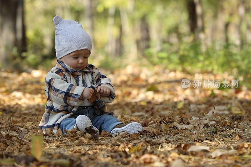 可爱的小朋友在秋天的公园里，用干枯的树叶铺在地上，为文字留出空间
