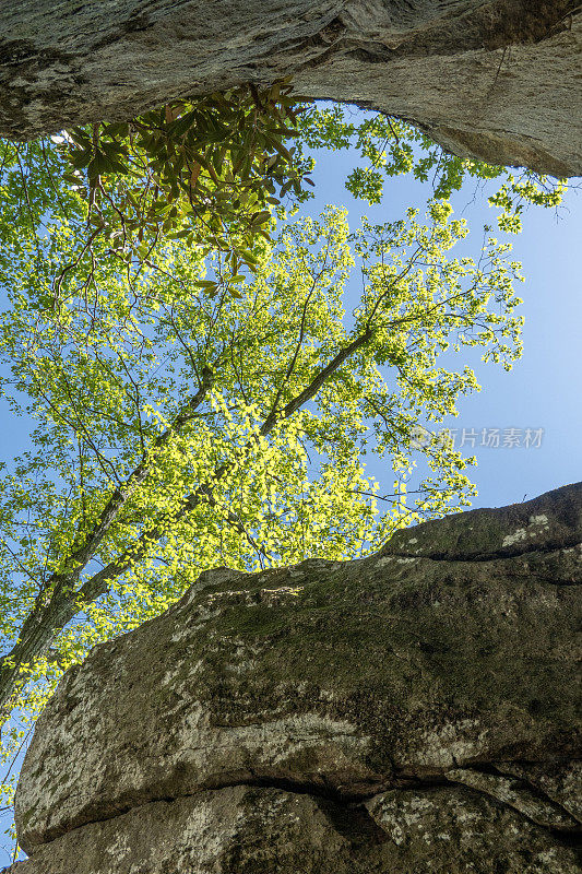 烟囱岩州立公园的风景