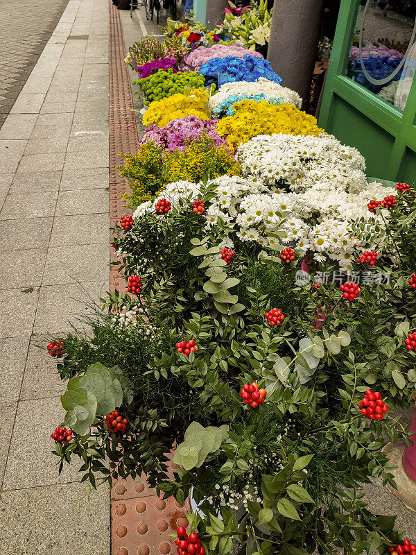 土耳其伊斯坦布尔集市上卖花