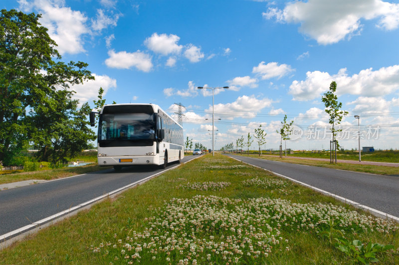 荷兰风景中接近的巴士