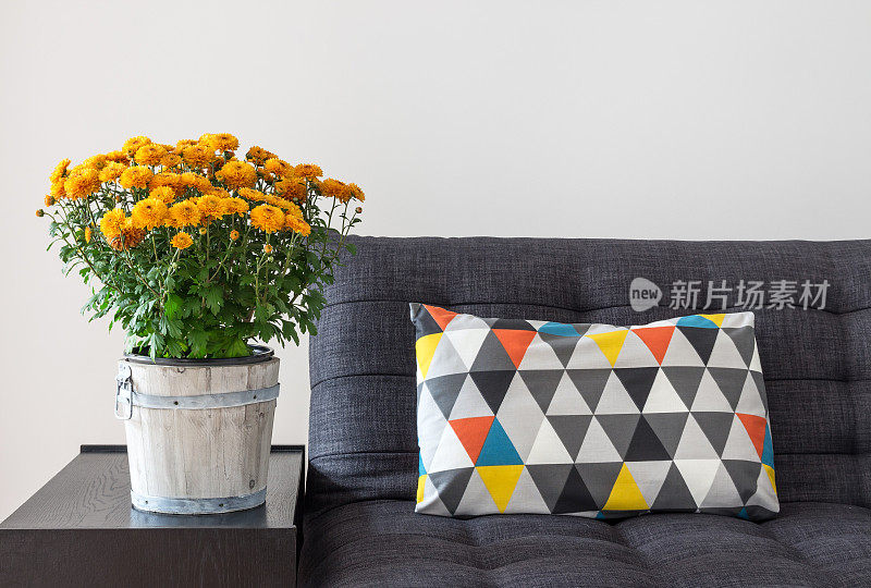 橙色菊花和明亮的沙发靠垫