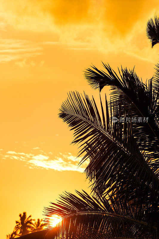 美丽的日落景观，斯里兰卡的热带海滩。