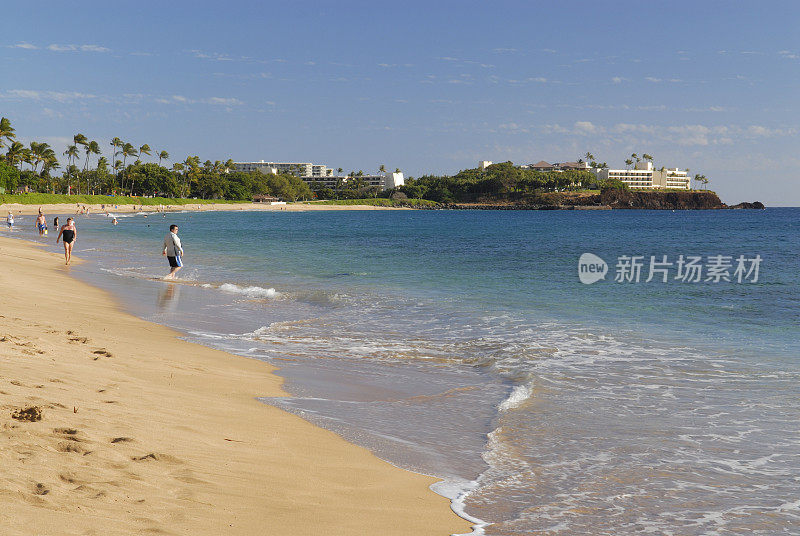 海岸线和海滩