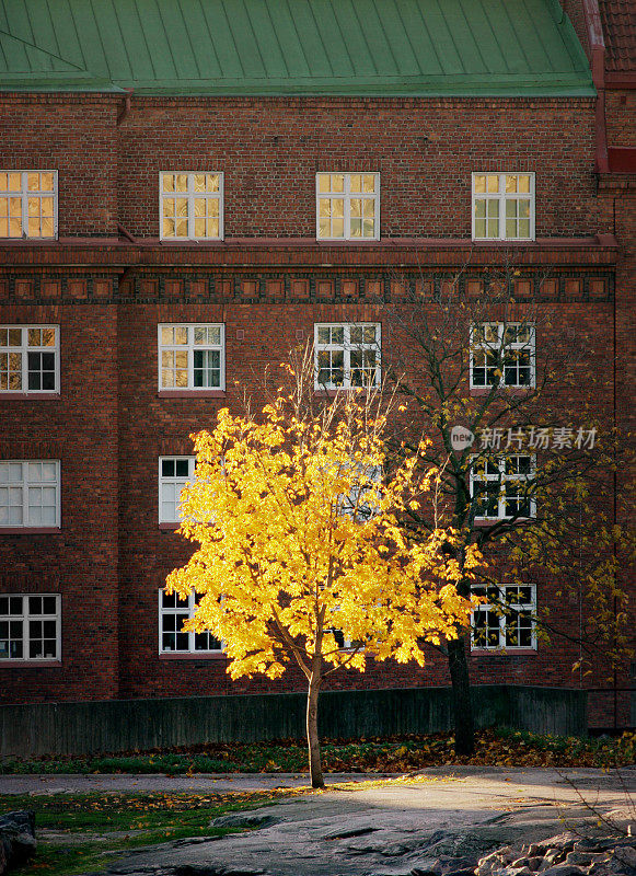 芬兰赫尔辛基的秋天