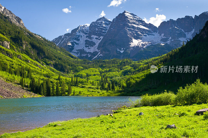 科罗拉多州阿斯彭夏季的栗色铃铛